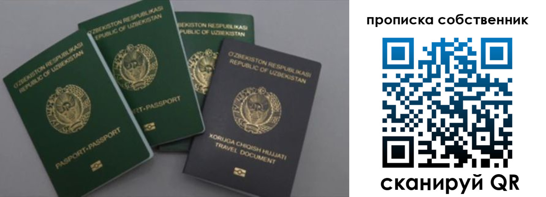 прописка штамп в Коле