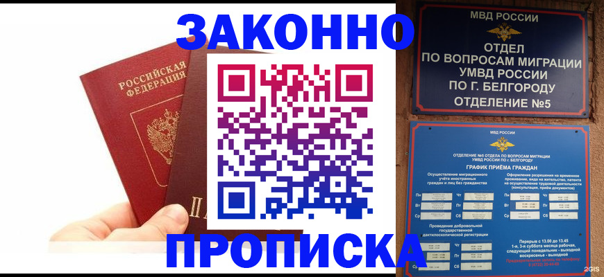 временная регистрация для школы в Коле